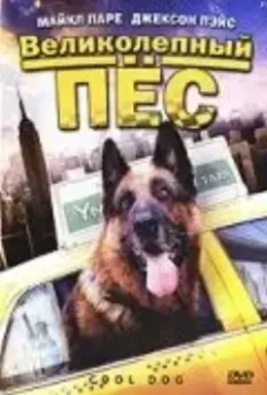 Великолепный пес / Cool Dog (2010)