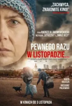 Однажды в ноябре / Pewnego razu w listopadzie (2017)