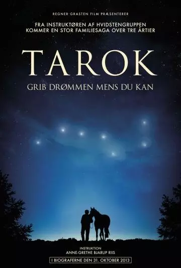 Поймать мечту / Tarok (2013)