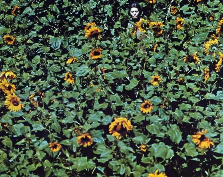 Кадр из Подсолнухи (1970) Кадр из Подсолнухи (1970)
