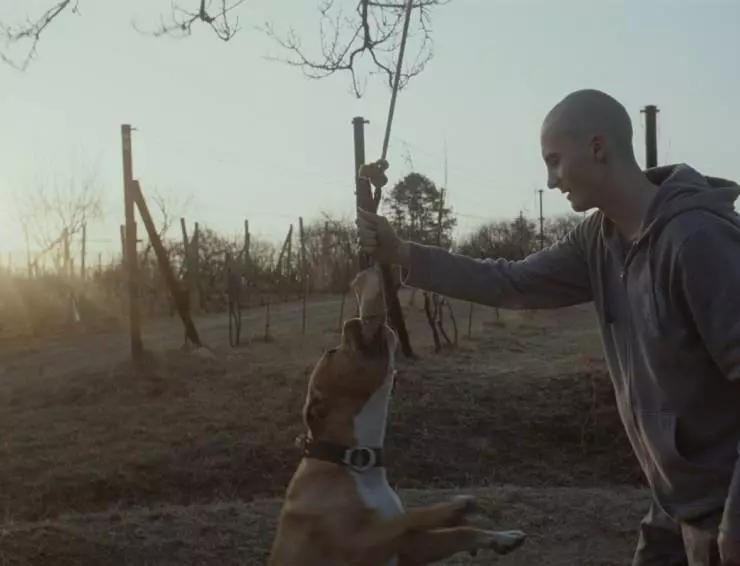 Кадр из Мой пёс Киллер (2013) Кадр из Мой пёс Киллер (2013)