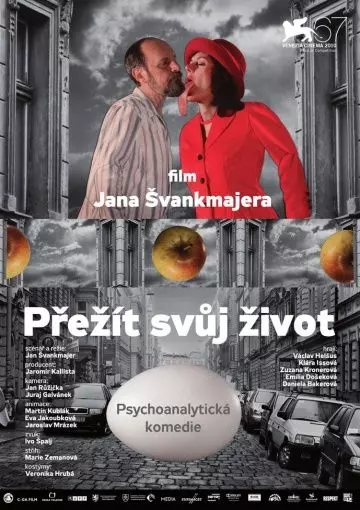 Пережить свою жизнь / Prezít svuj zivot (2010)