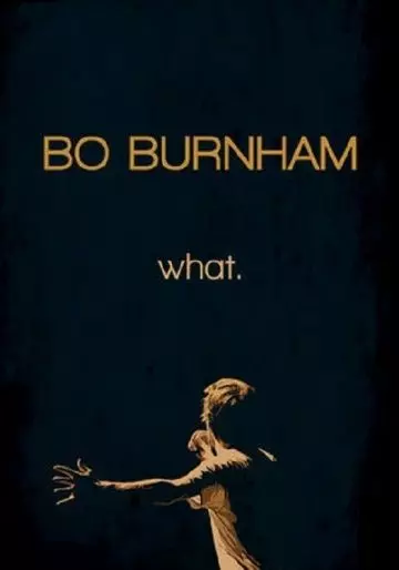 Бо Бёрнем: Что. / Bo Burnham: what. (2013)