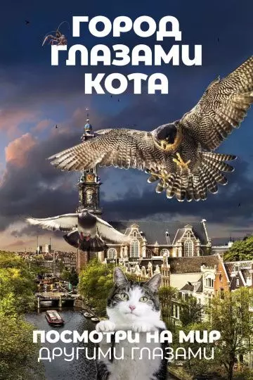Город глазами кота / Wild Amsterdam (2018)