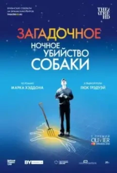 Загадочное ночное убийство собаки / The Curious Incident of the Dog in the Night-Time (2012)
