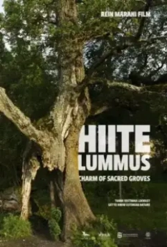 Тайная роща / Hiite lummus (2013)