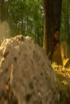 Кадр из Подсобка дьявола (2019) Кадр из Подсобка дьявола (2019)
