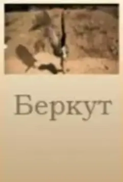 Беркут (2006)