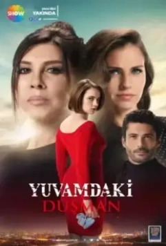Враг в моём доме / Yuvamdaki Düsman (2018)