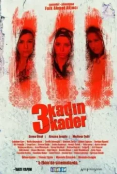 3 женщины 3 судьбы / 3 Kadin 3 Kader (2013)