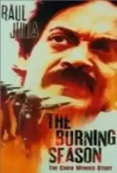 Огненный сезон HDRip / The Burning Season (1994)