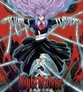 Ночной странник / Mayonaka no tantei Nightwalker (1998)