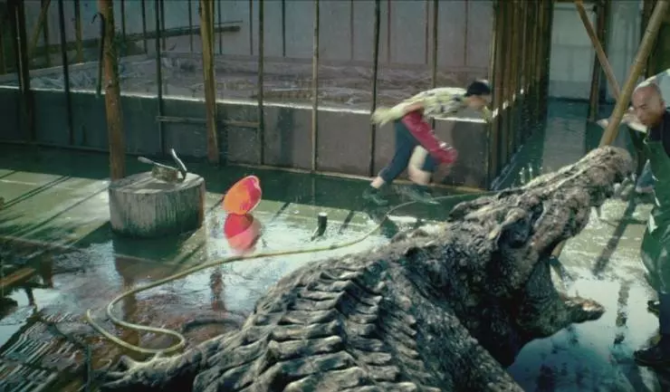 Кадр из Крокодил на миллион долларов (2012) Кадр из Крокодил на миллион долларов (2012)