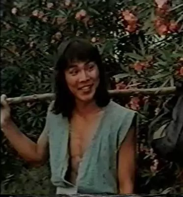 Кадр из Кулак золотой обезьяны (1983) Кадр из Кулак золотой обезьяны (1983)