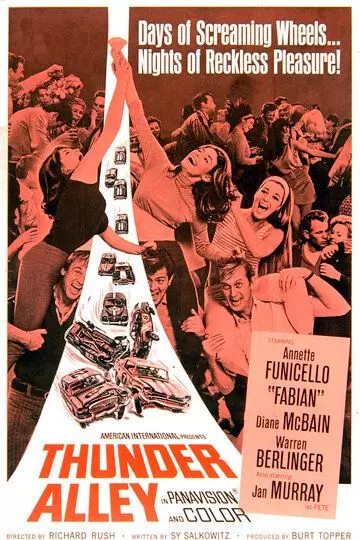 Грозовая аллея / Thunder Alley (1967)