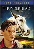 Грозовая туча – сын Флики / Thunderhead - Son of Flicka (1945)