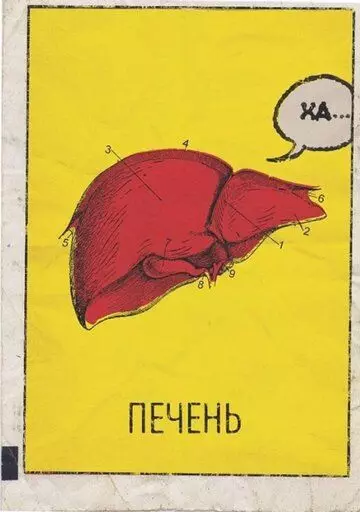 Печень, или История одного стартапа (2019)