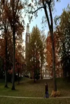 Кадр из Вишня (2010) Кадр из Вишня (2010)