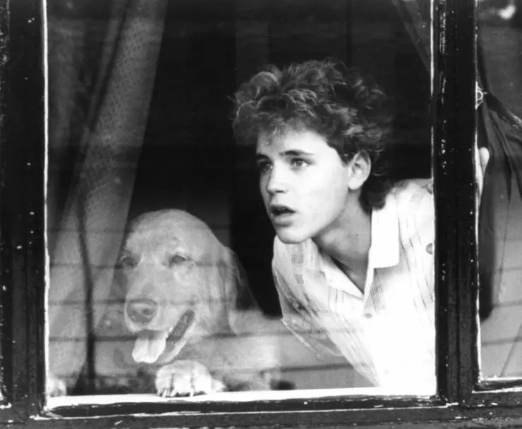Кадр из Ангелы-хранители (1988) Кадр из Ангелы-хранители (1988)