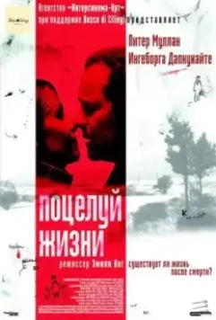 Поцелуй жизни / Kiss of Life (2003)