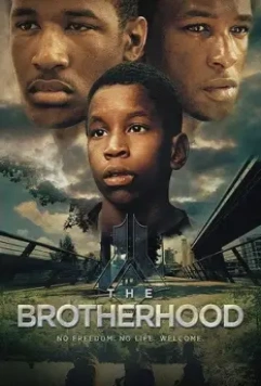 Братство / The Brotherhood (2017)