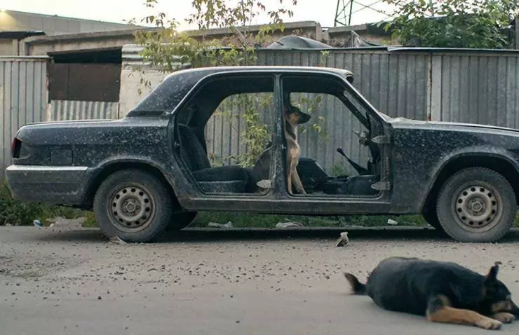 Кадр из Космические собаки (2019) Кадр из Космические собаки (2019)