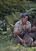 Кадр из Куда же делась седьмая рота? (1973) Кадр из Куда же делась седьмая рота? (1973)