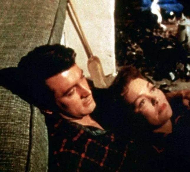 Кадр из Все, что дозволено небесами (1955) Кадр из Все, что дозволено небесами (1955)