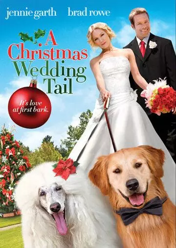 Рождественская свадебная сказка / A Christmas Wedding Tail (2011)