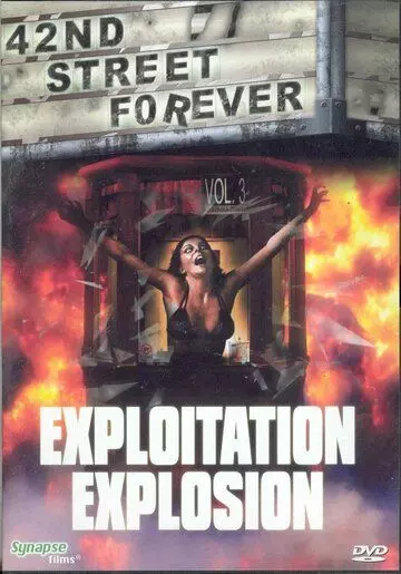 42-ая улица навсегда: Часть 3 / 42nd Street Forever, Volume 3: Exploitation Explosion (2008)