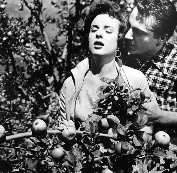 Кадр из Три монеты в фонтане (1954) Кадр из Три монеты в фонтане (1954)