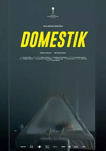 Домашний режим / Domestik (2018)