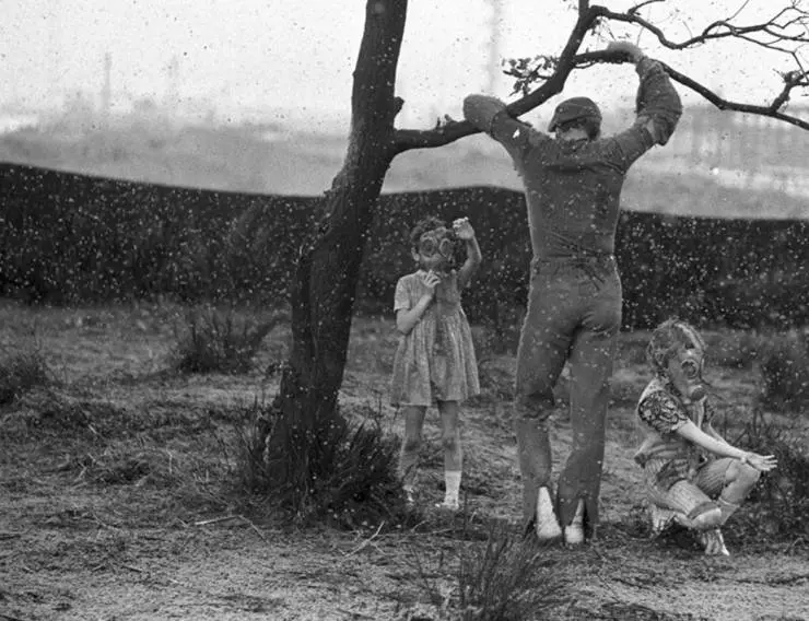 Кадр из Поторопись, пока не вернулась жена (1975) Кадр из Поторопись, пока не вернулась жена (1975)