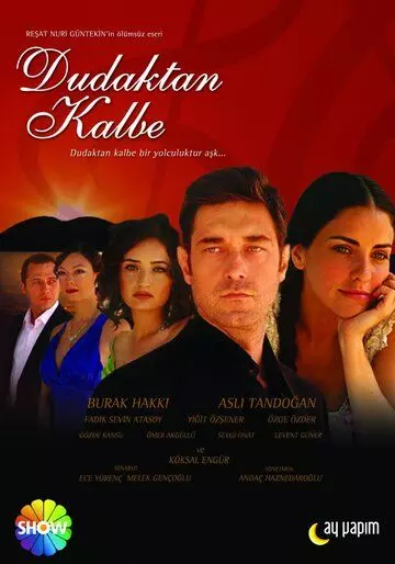 Симфония любви / Dudaktan kalbe (2007)