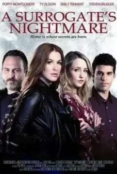 Суррогатный кошмар / A Surrogate's Nightmare (2017)