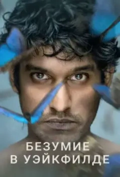 Безумие в Уэйкфилде / Wakefield (2021)
