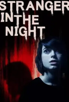 Незнакомец в ночи / Stranger in the Night (2017)