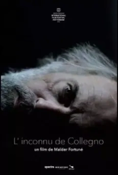 Незнакомец из Колленьо / L'inconnu de Collegno (2019)
