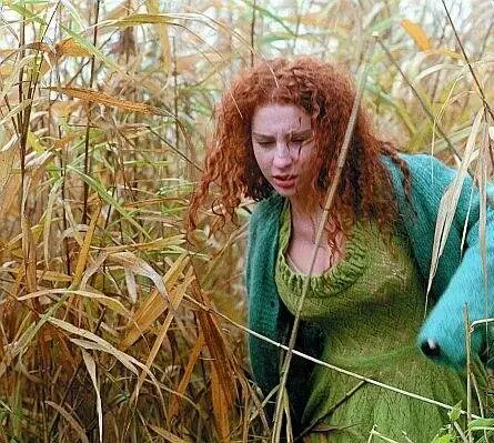 Кадр из Вышивальщицы (2004) Кадр из Вышивальщицы (2004)