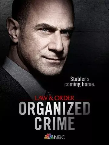 Закон и порядок: Организованная преступность / Law & Order: Organized Crime (2021)