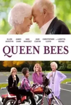 Дрянные старушки / Queen Bees (2021)