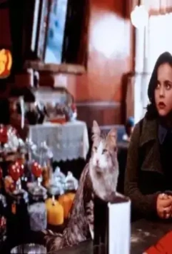 Кадр из Эта дикая кошка (1997) Кадр из Эта дикая кошка (1997)