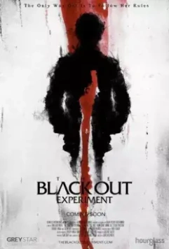 Эксперимент "Тьма" / The Blackout Experiment (2021)