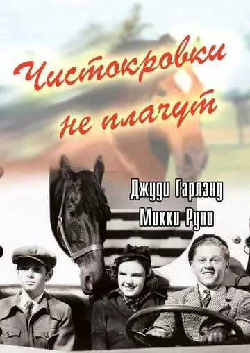 Чистокровки не плачут / Thoroughbreds Don't Cry (1937)