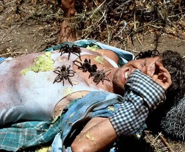 Кадр из Внутренний страх 2 (1991) Кадр из Внутренний страх 2 (1991)