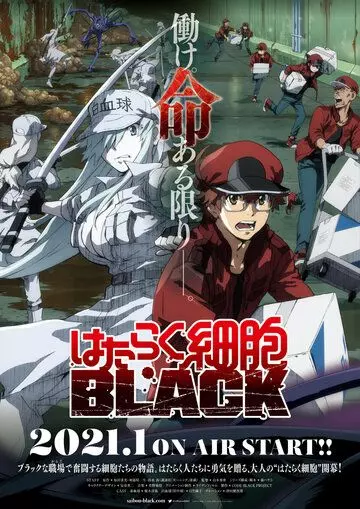 Клетки за работой: Тёмная сторона / Hataraku Saibou Black (2021)