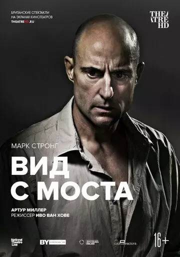 Вид с моста / National Theatre Live: A View from the Bridge (2015)