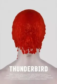Громовая птица / Thunderbird (2019)