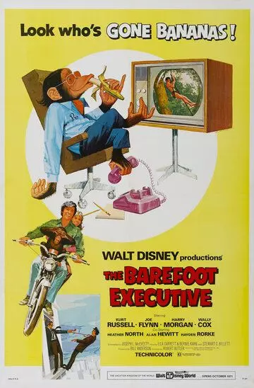 Босой руководитель / The Barefoot Executive (1971)