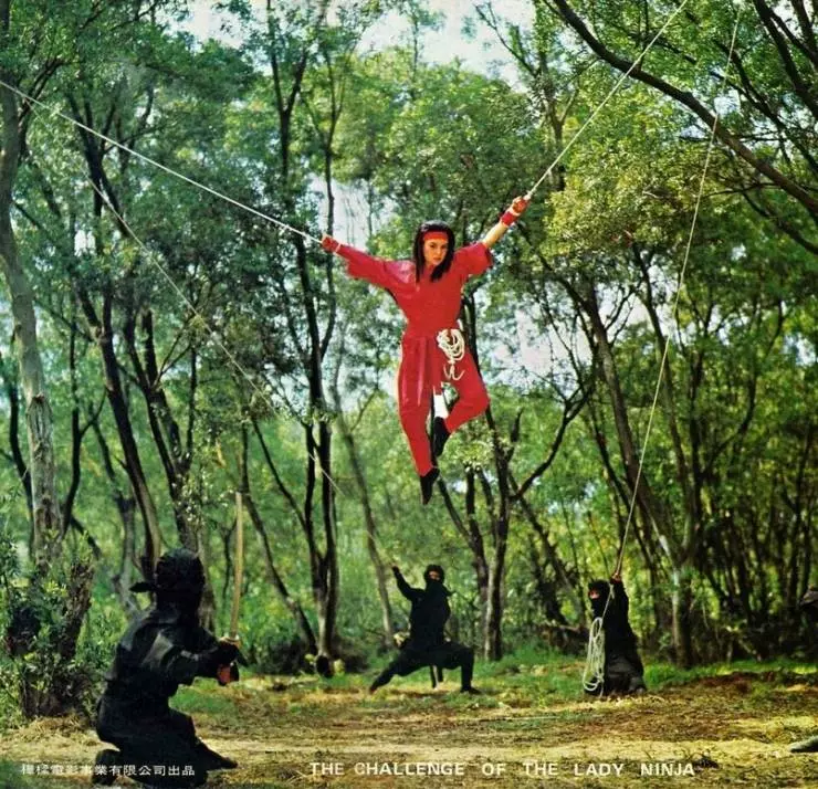 Кадр из Задание леди-ниндзя (1983) Кадр из Задание леди-ниндзя (1983)